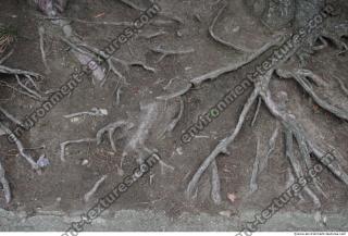 Photo Textures of Nature